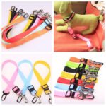 Fixed Strap Polyester Dog Strap Dog Leash Dog Leash - Image 9