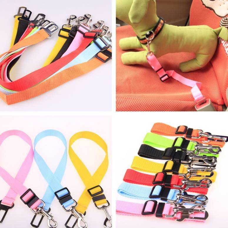 ad8c0adb-98df-47e4-95b9-f773b956452a.jpg Fixed Strap Polyester Dog Strap Dog Leash Dog Leash - Image 1